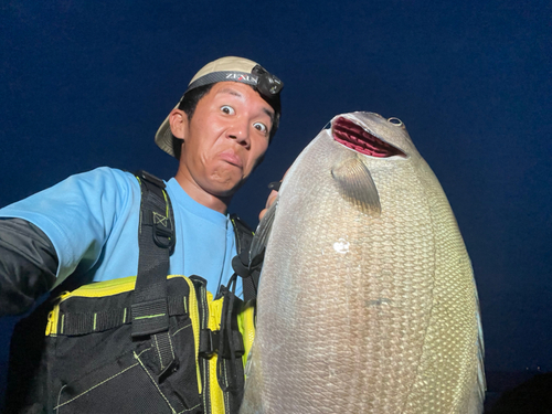 イスズミの釣果