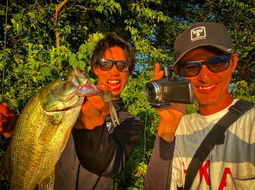 ブラックバスの釣果