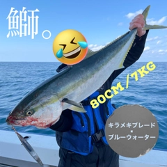 ブリの釣果