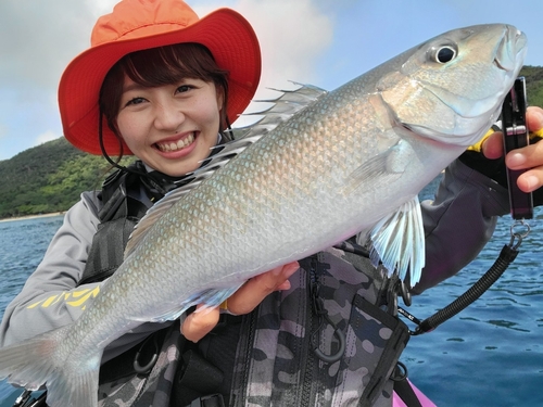 沖縄県で釣れたアオチビキの釣り・釣果情報 - アングラーズ