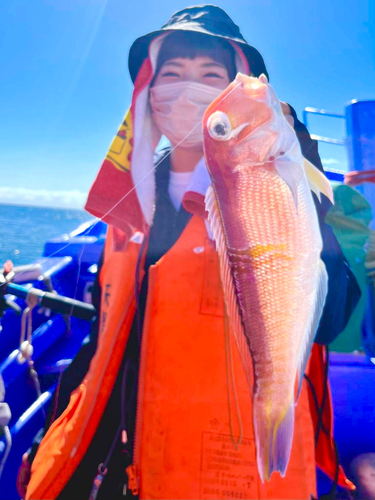 アマダイの釣果