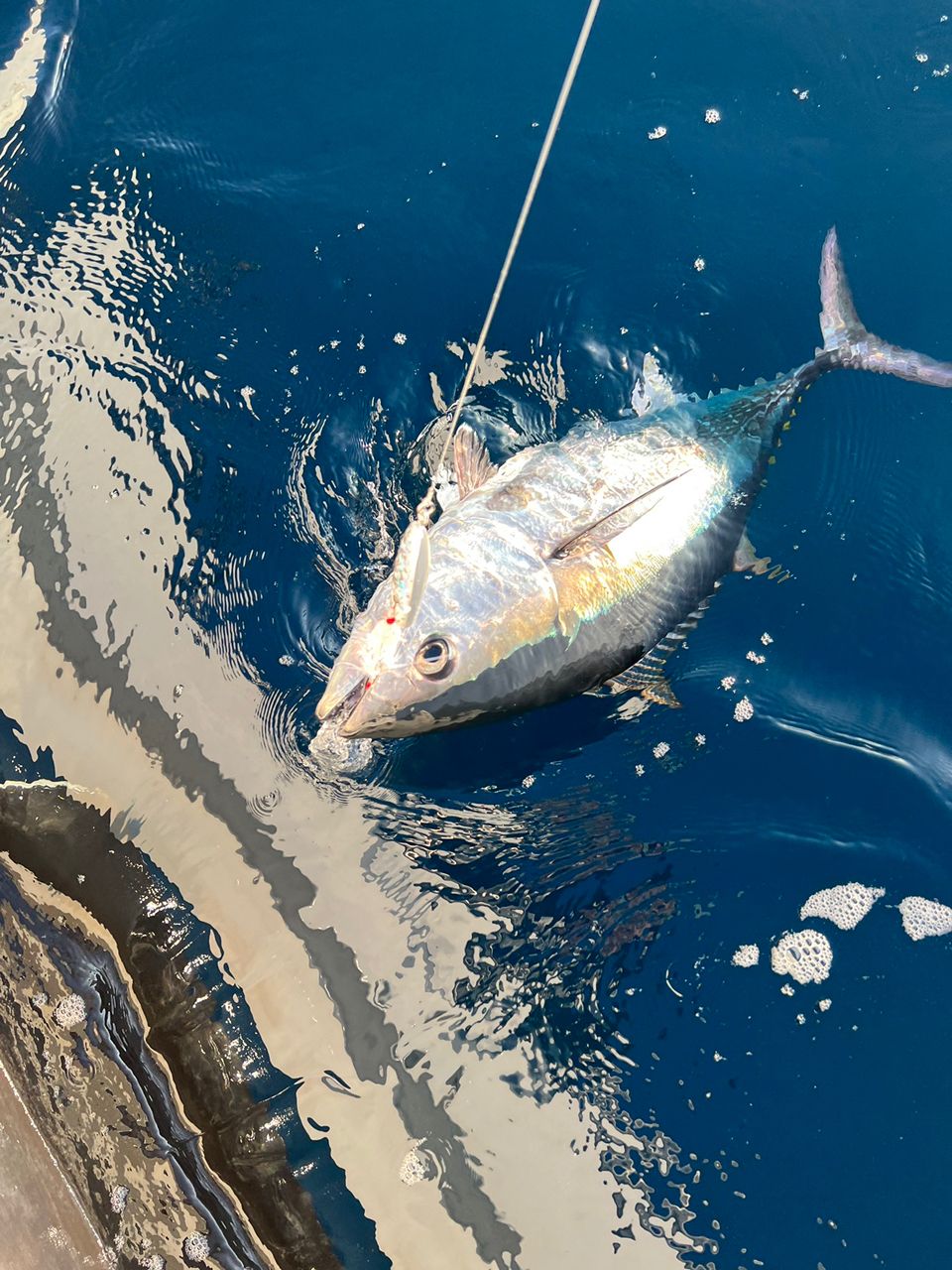 遊漁船たかくらさんの釣果 3枚目の画像