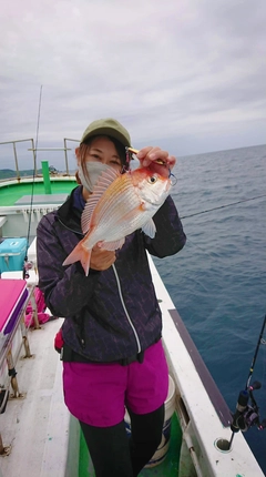 レンコダイの釣果