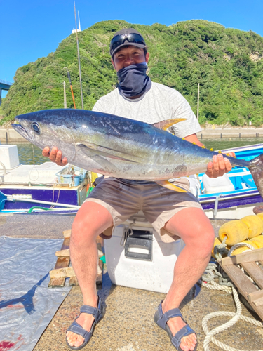 キハダマグロの釣果