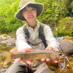 イワナの釣果