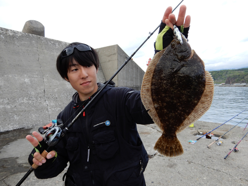 カレイの釣果