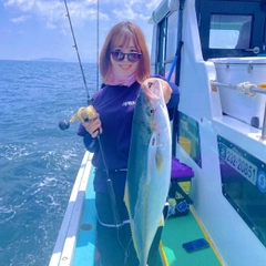 ハマチの釣果