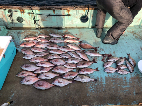 タイの釣果