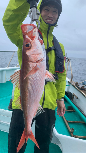 ハチビキの釣果