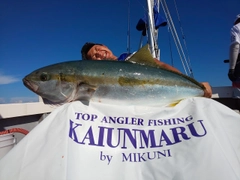 ヒラマサの釣果