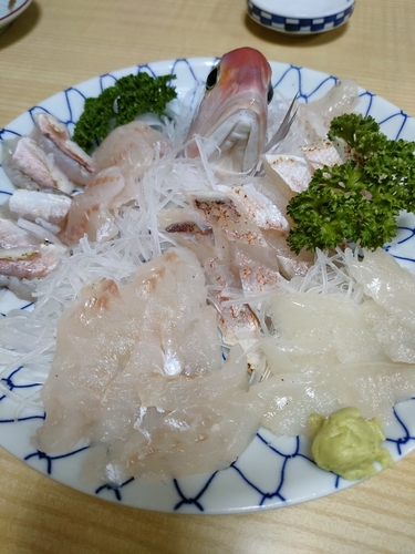 アマダイの釣果