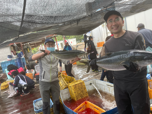 ハマチの釣果