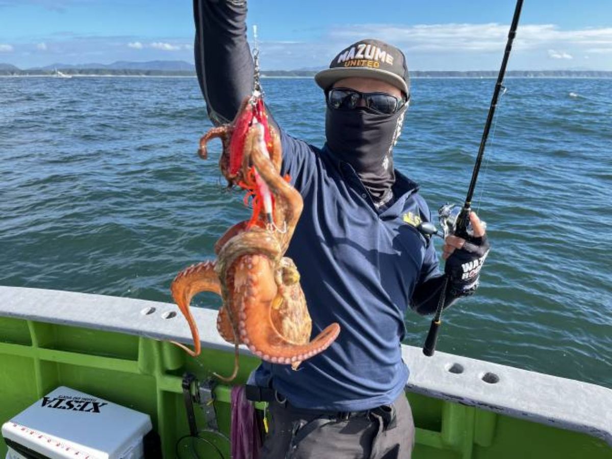 ぼ〜ずの向う側さんの釣果 3枚目の画像