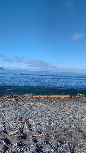 オオモンハタの釣果