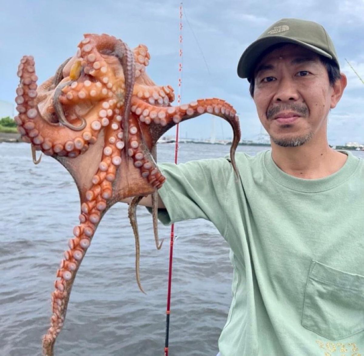 料理人Usukeさんの釣果 2枚目の画像