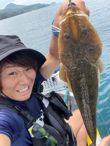 マゴチの釣果