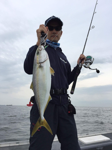 イナダの釣果