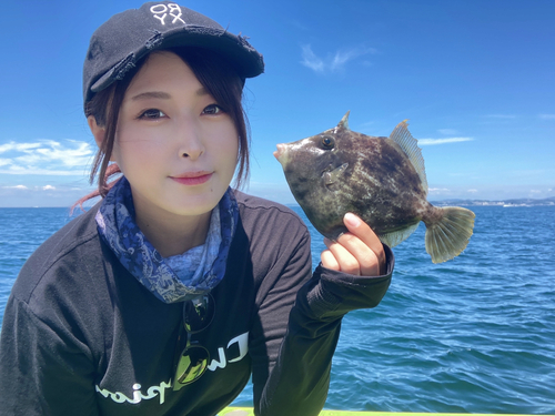 カワハギの釣果