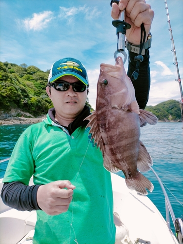 マハタの釣果