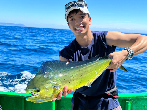 シイラの釣果