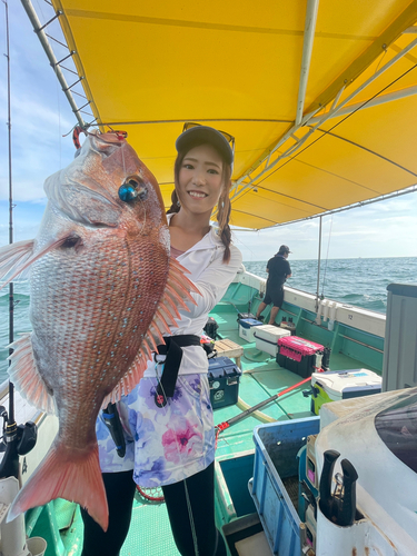 マダイの釣果