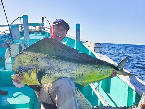 シイラの釣果