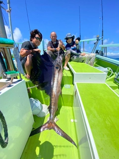 バショウカジキの釣果