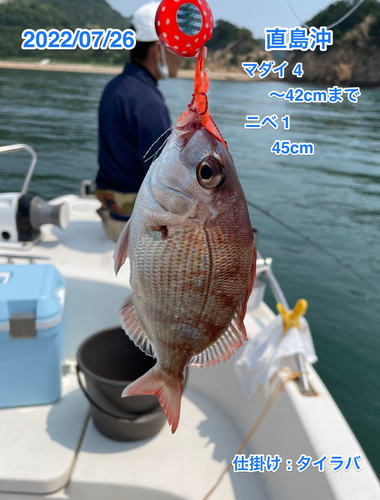 マダイの釣果