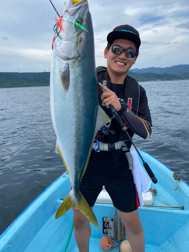 ブリの釣果