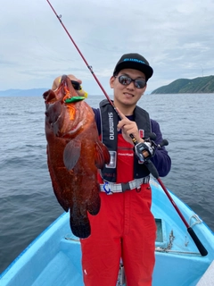 ニジハタの釣果