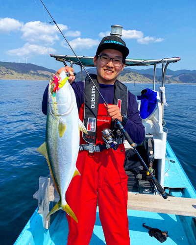 ブリの釣果