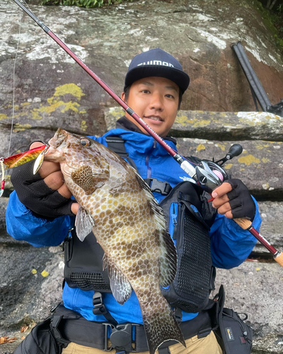 オオモンハタの釣果