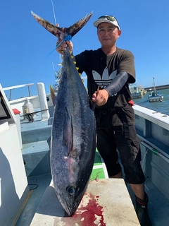 キハダマグロの釣果