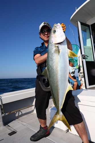 ヒラマサの釣果