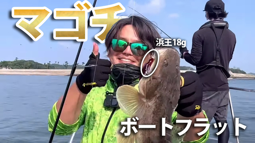 マゴチの釣果