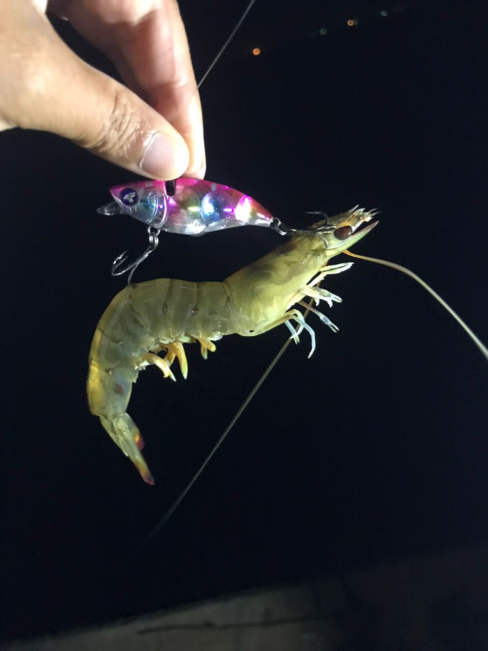 エビ