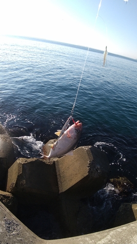 釣果