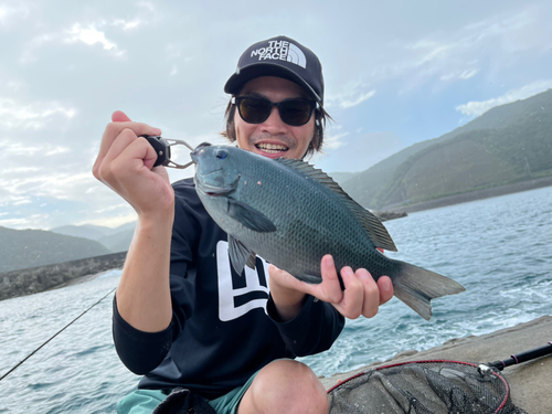 クチブトグレの釣果