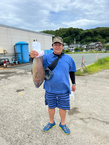 タイの釣果