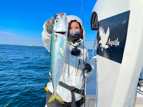 サバの釣果