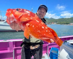 アカハタの釣果