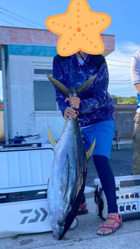 キハダマグロの釣果