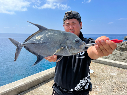 ガーラの釣果