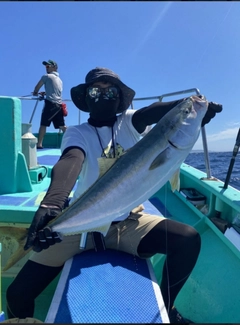 ワラサの釣果