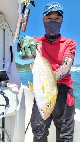 シオの釣果