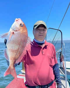 マダイの釣果