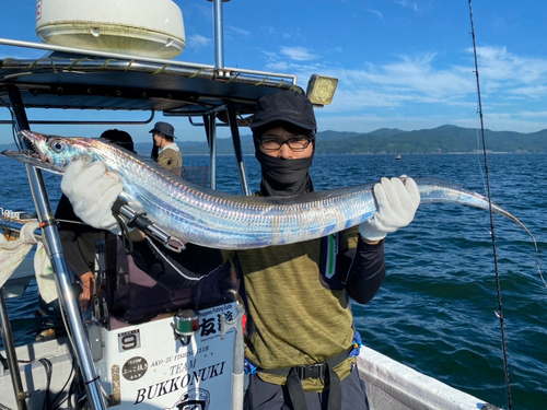 タチウオの釣果