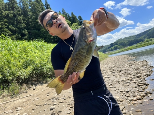 スモールマウスバスの釣果