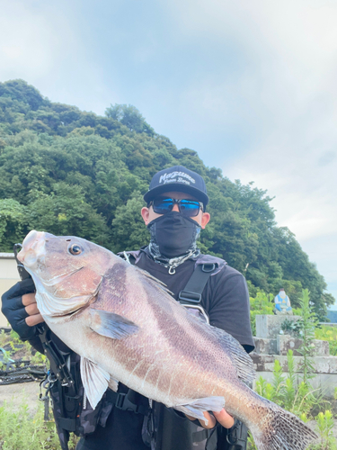 コショウダイの釣果