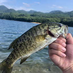 スモールマウスバス